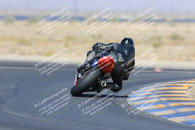 media/May-13-2023-SoCal Trackdays (Sat) [[8a473a8fd1]]/Turn 11 Backside (945am)/